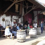 Alpakahof_1503