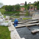Gartenschau_201502