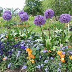 Gartenschau_201505