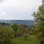 Blüten_1602