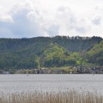 Blüten_1605