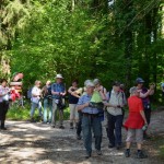 Linzgau_1601