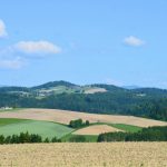 radtour-1711