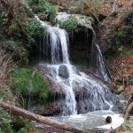 aitrachtal_1701