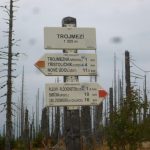 bayerischer_wald_1705