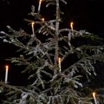 waldweihnacht_1701