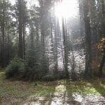dreifaltigkeitsberg_1802